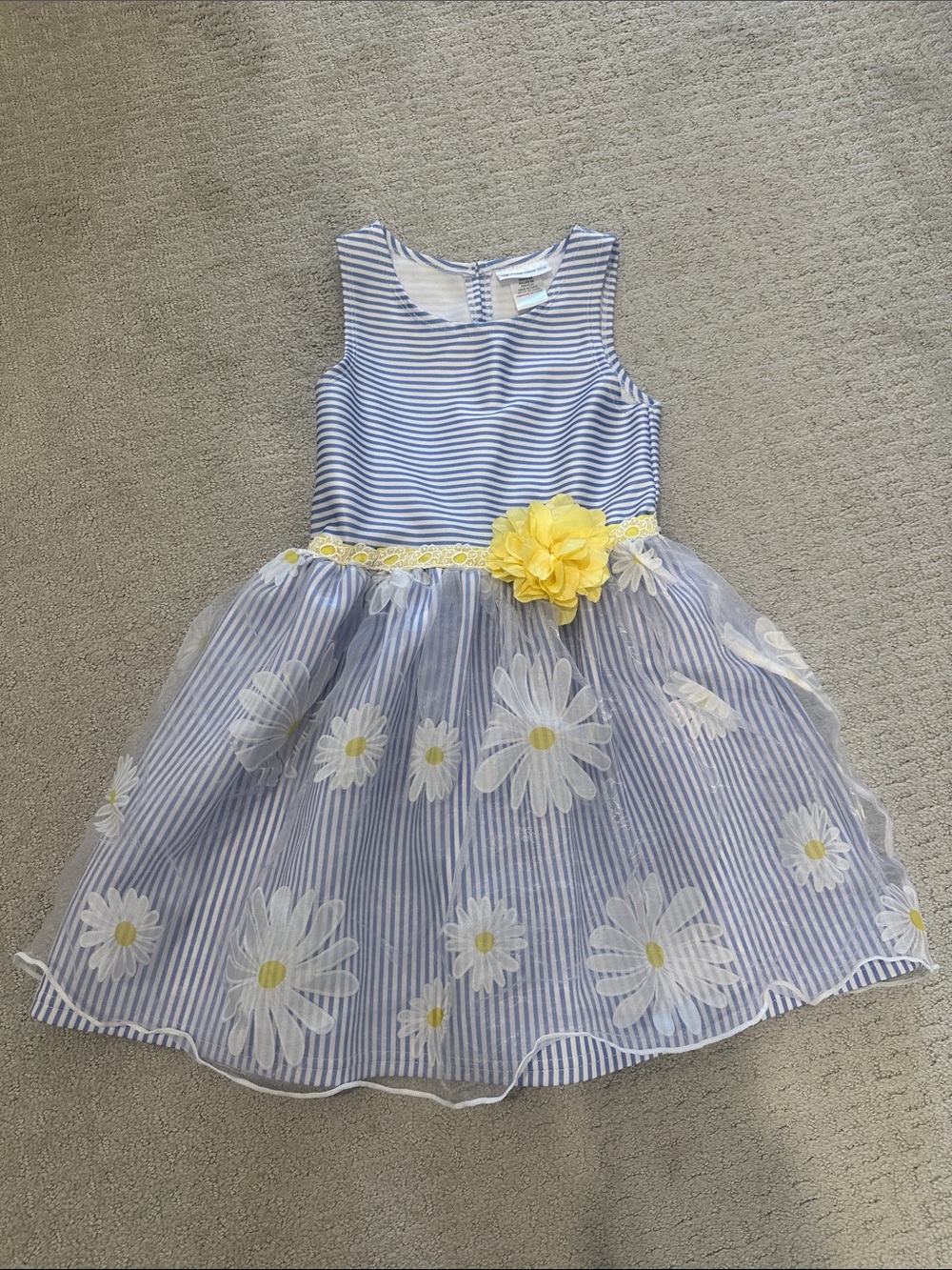 Sweet Heart Rose Blue and Yellow Daisy Tulle Dress girls size 6x
